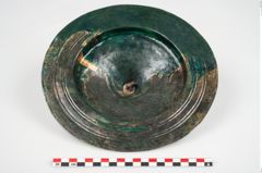 Foto von Bronzephalere (NHMW-PRAE-025835)